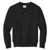 Youth Core Fleece Crewneck Sweatshirt Thumbnail